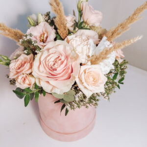 Box Pastel Basic