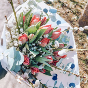 Šopek Tulips